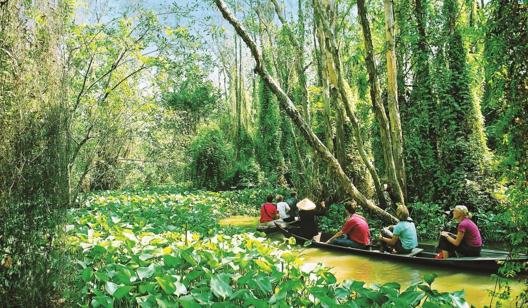 Thuê xe đi Tour Đồng Tháp