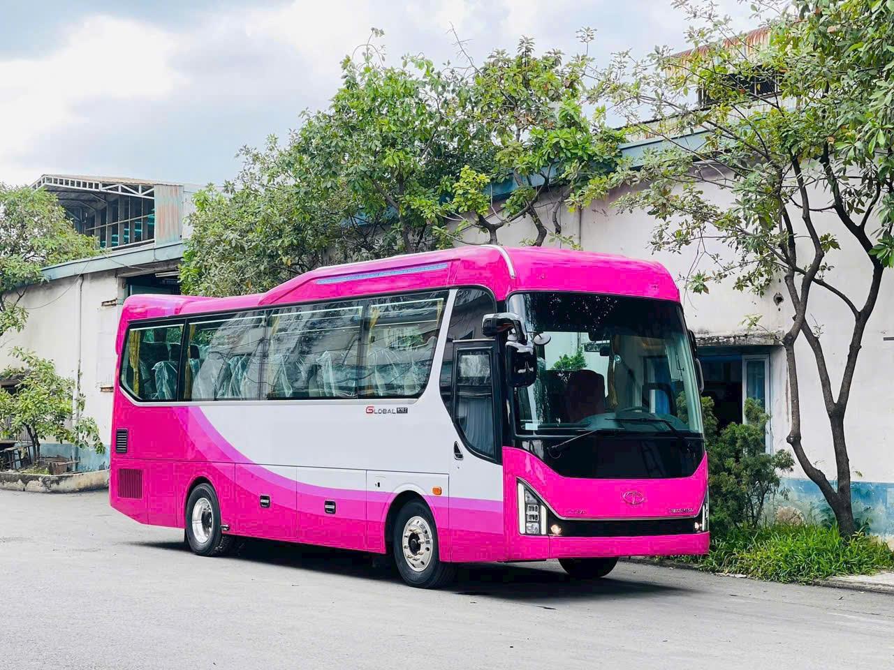 Cho Thuê Xe 45 chỗ HYUNDAI TRACOMECO